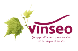 VINSEO